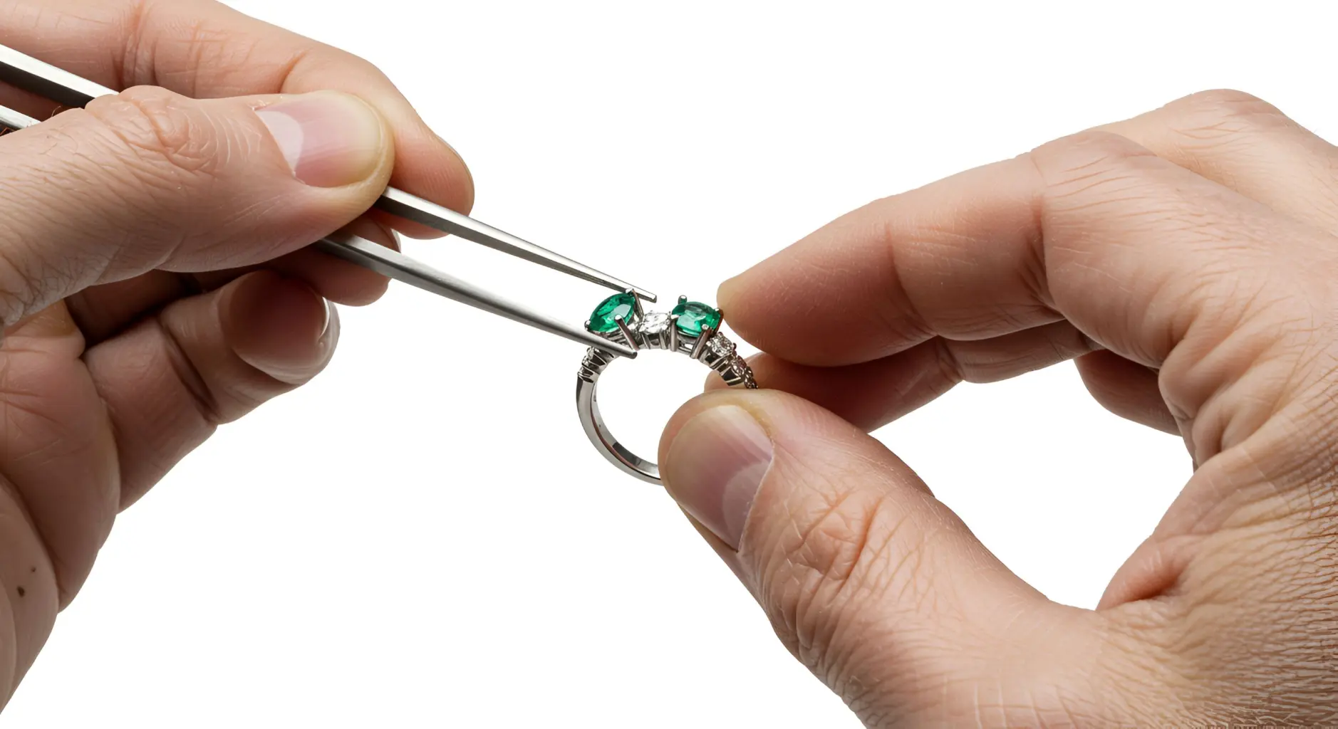 Teal Parrot Jewelry